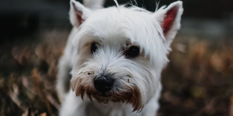 online safety for kids, five things children must keep private online online safety for kids, five things children must keep private online